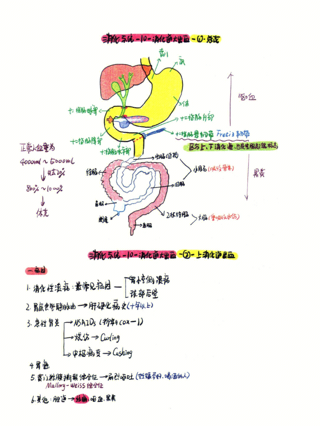 急性胃炎思维导图图片