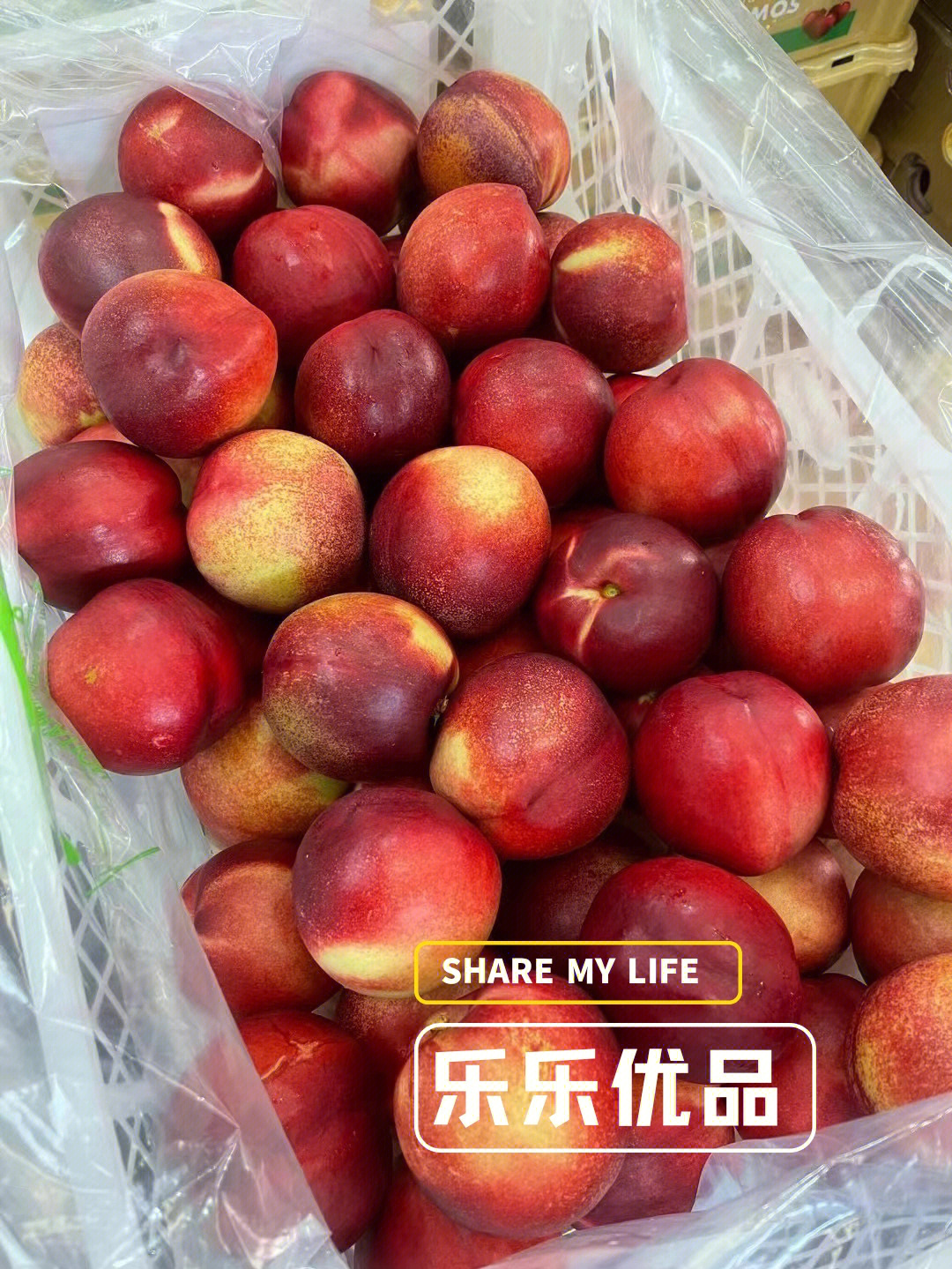 新货96【进口油桃】智利9897进口油桃(大果)香甜可口的桃子