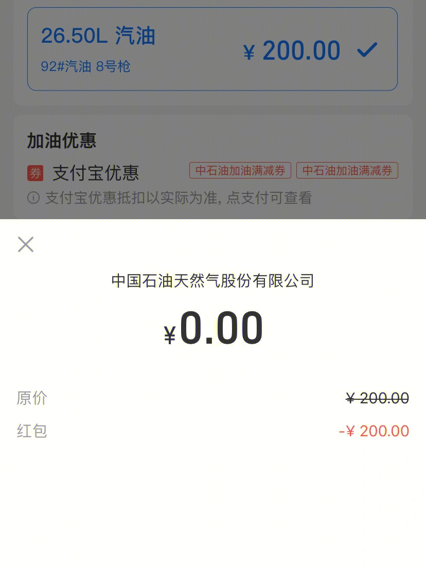 支付宝支付300元截图图片