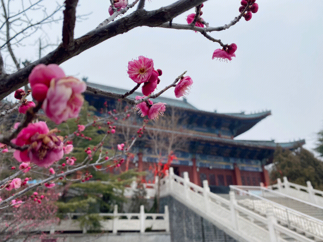 赵县铁佛寺简介图片