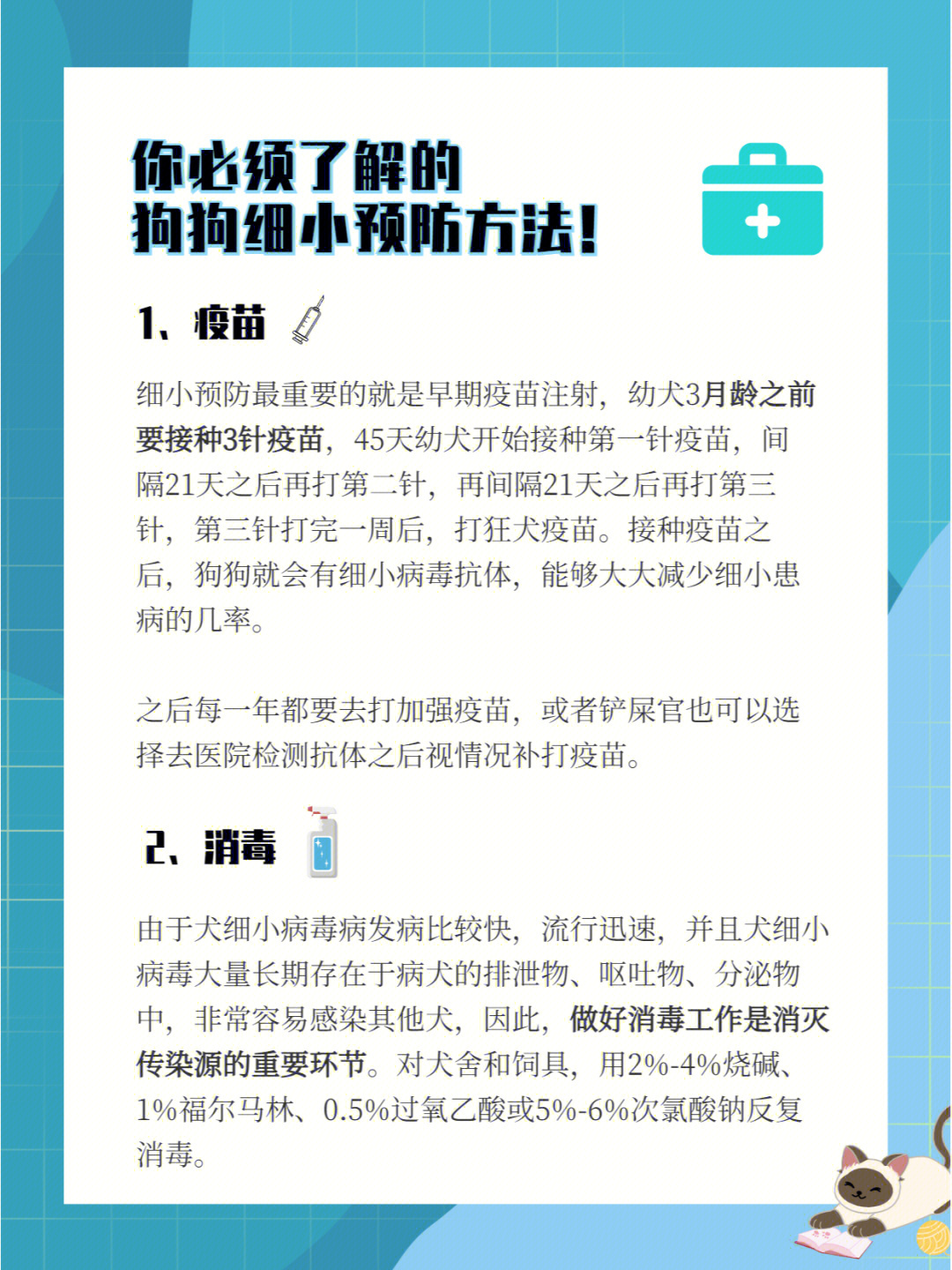 狗狗得细小怎么办图片