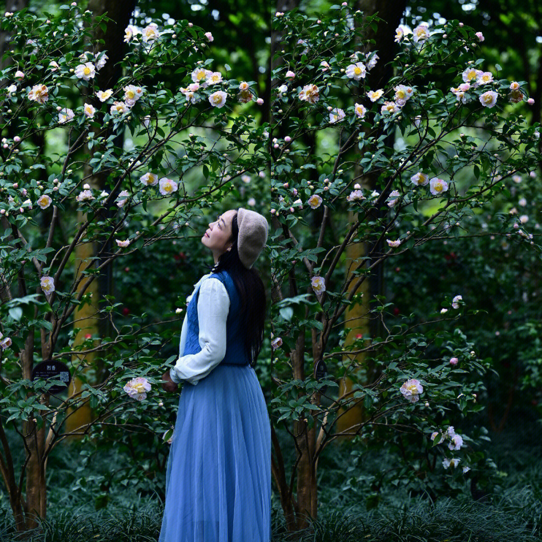 茶花女真人容貌图片