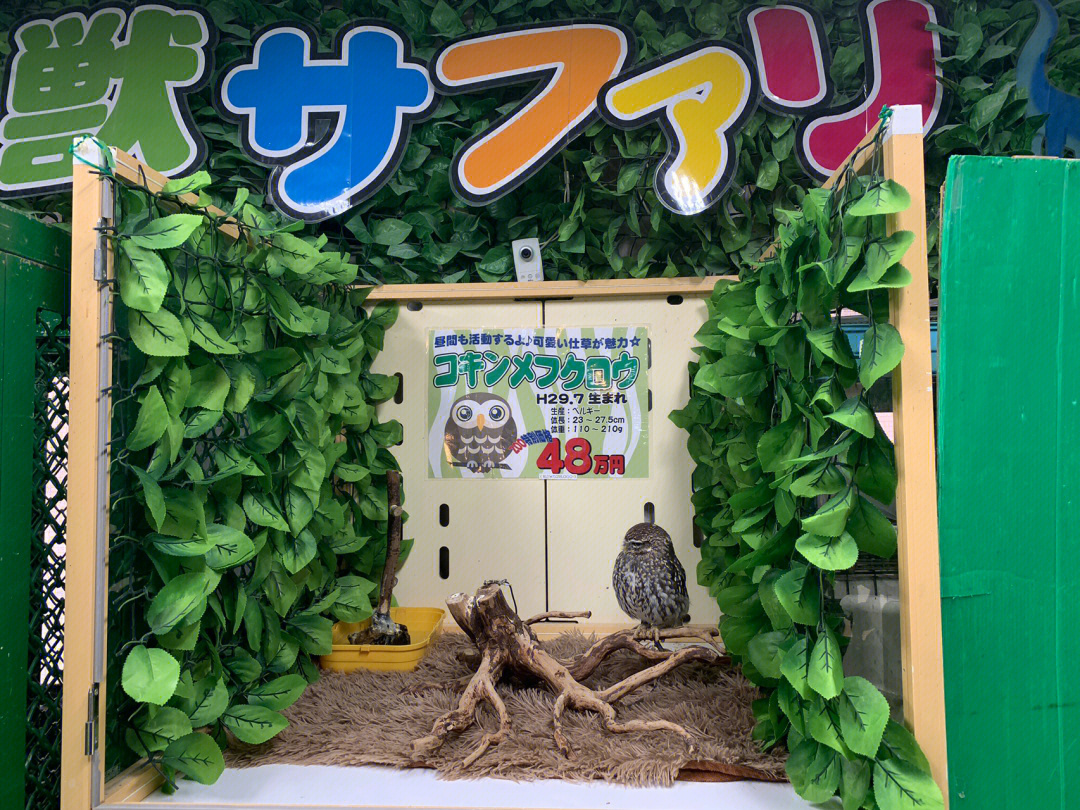 新大久保zoo宠物店