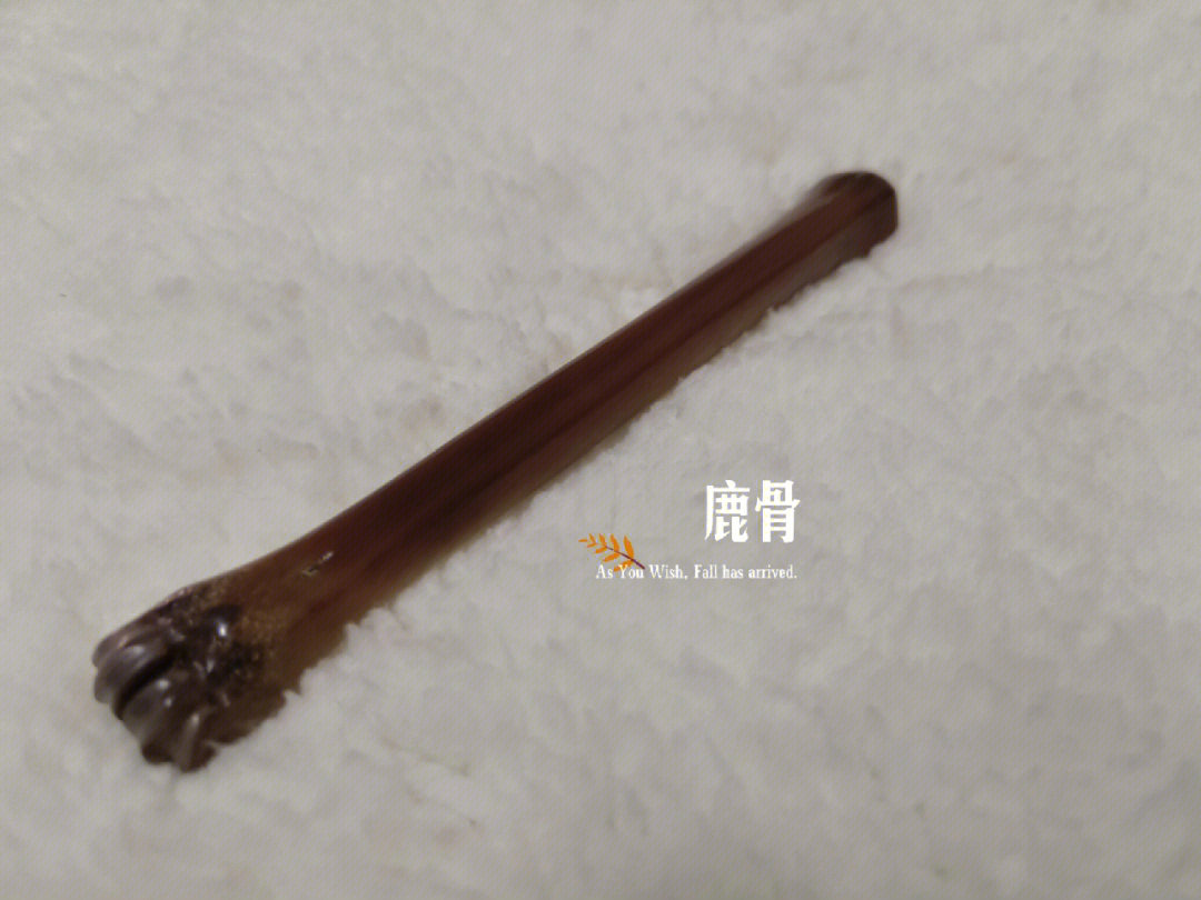 刚到的新手把件,这个材质的密度的确比驼骨好,小小一根,上手不错其实