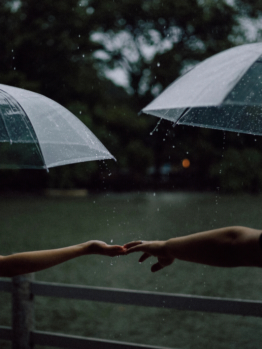 领证遭遇暴风雨那就享受这个不平凡的时刻