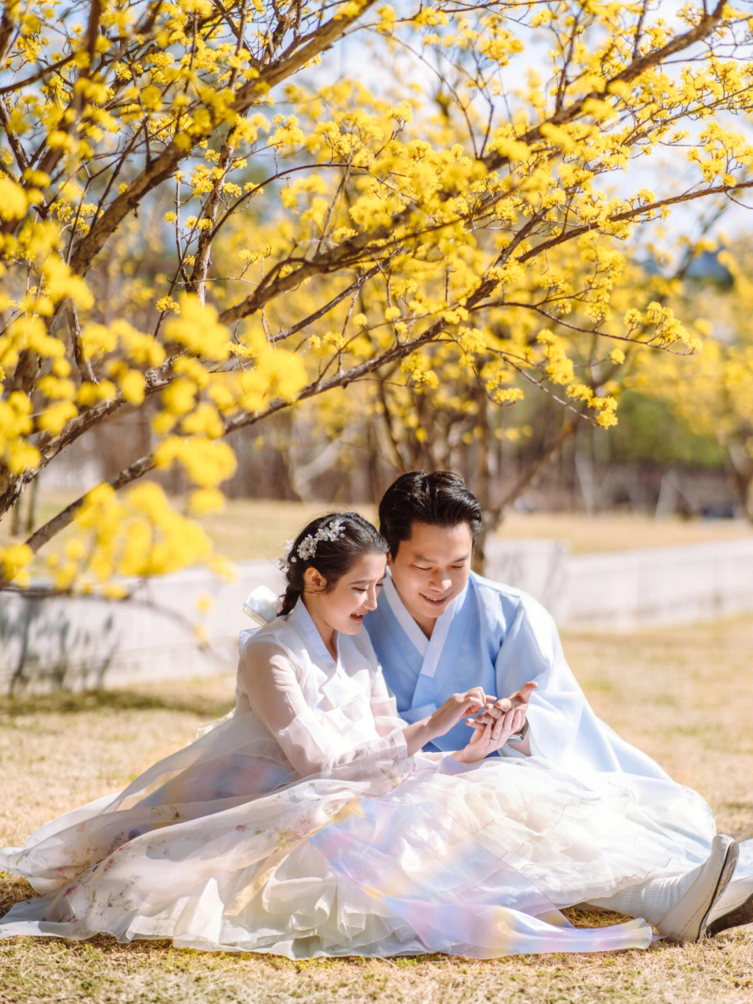 祖国的小黄花开车真人图片