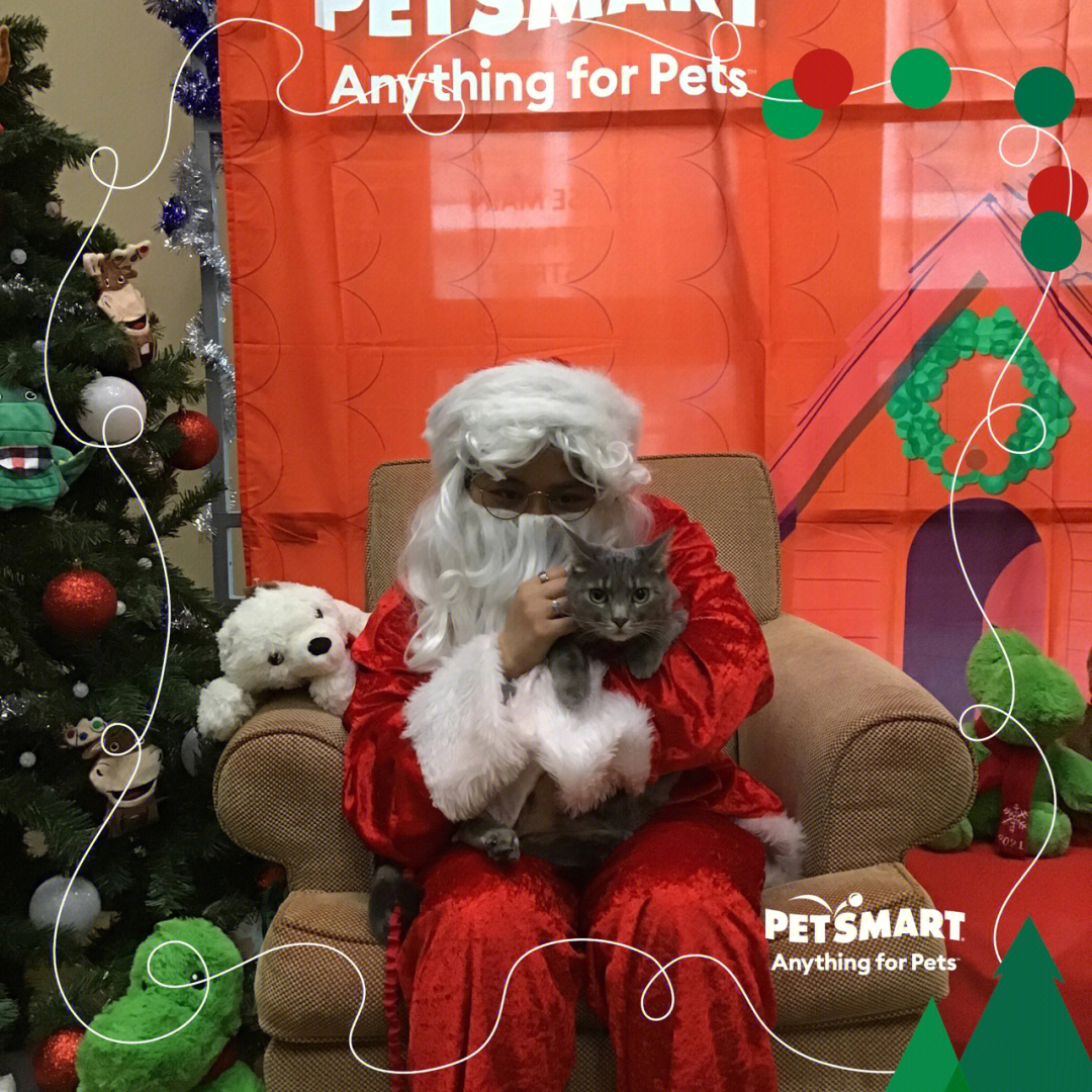 petsmart宠物跟圣诞老人照相活动