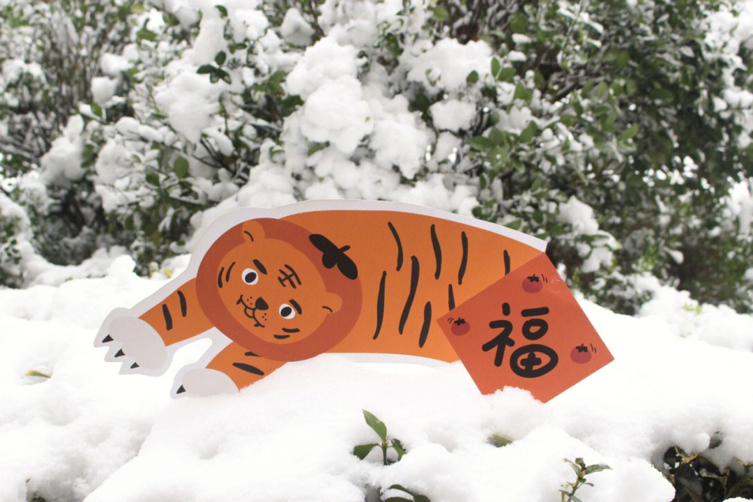 雪堆成的老虎图片图片