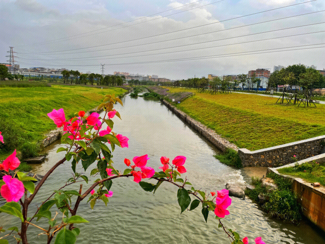 南宁北湖湿地公园位置图片