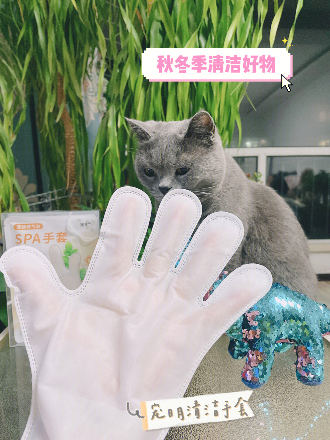 猫猫手套活动图片