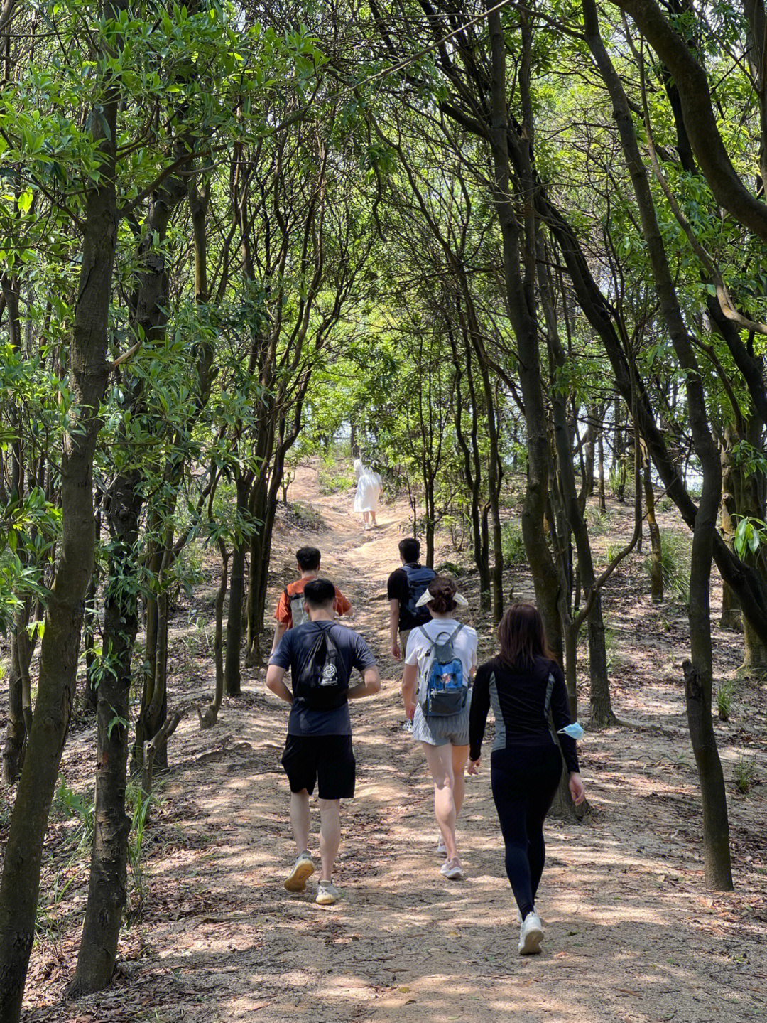 银湖山深圳爬山郊野公园