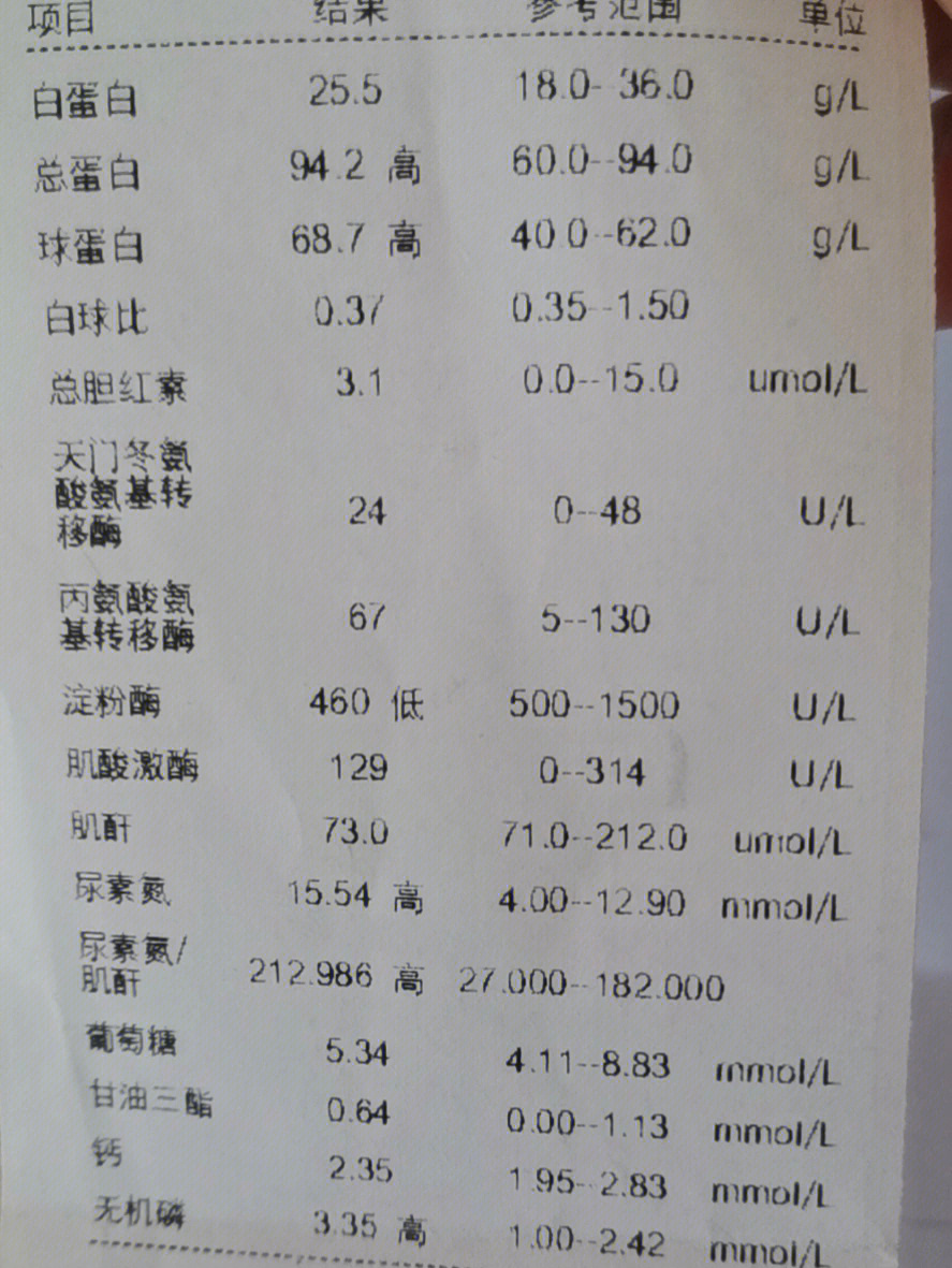 免疫球蛋白化验单图片