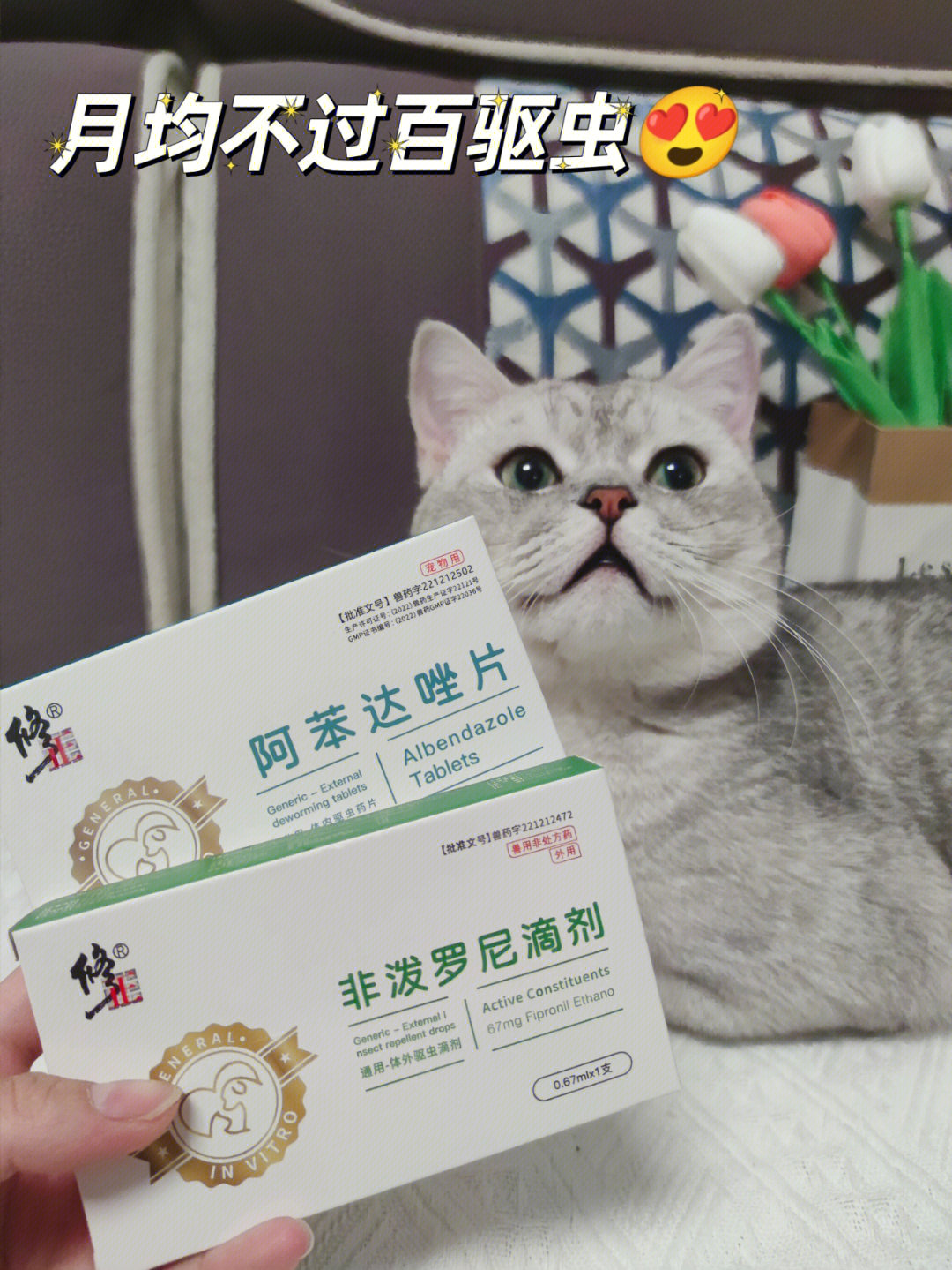 猫禁用阿苯达唑图片