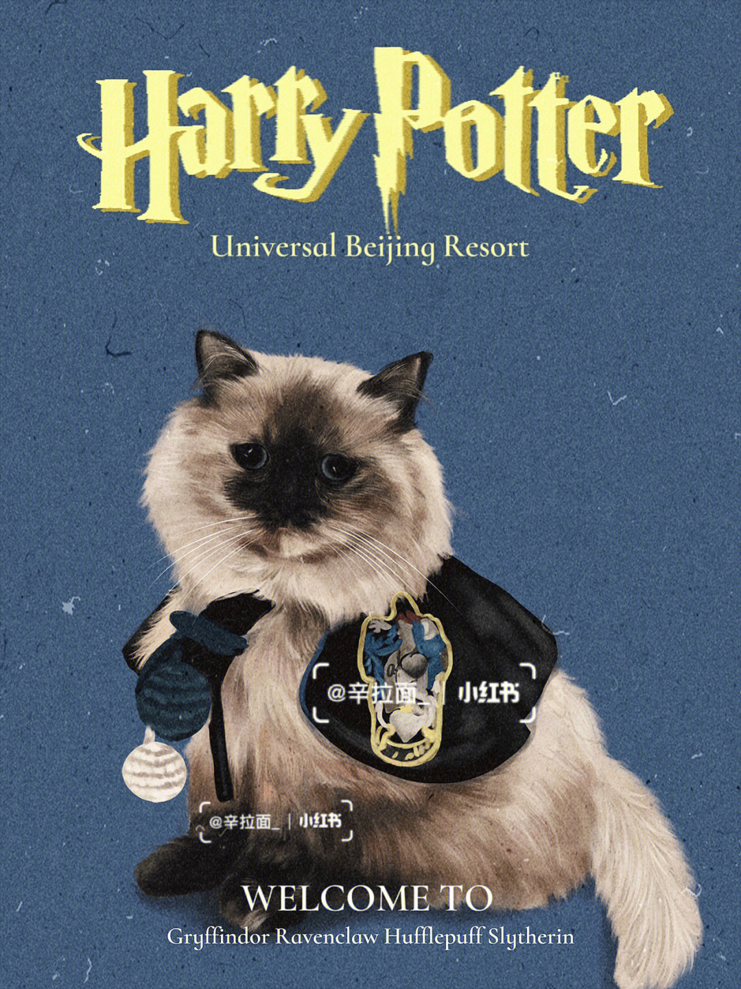 哈利波特来自魔法学院的猫猫们来报道啦
