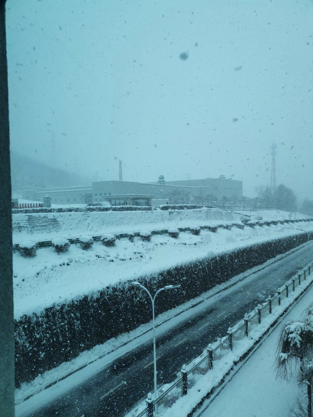 鹅毛大雪的意思图片