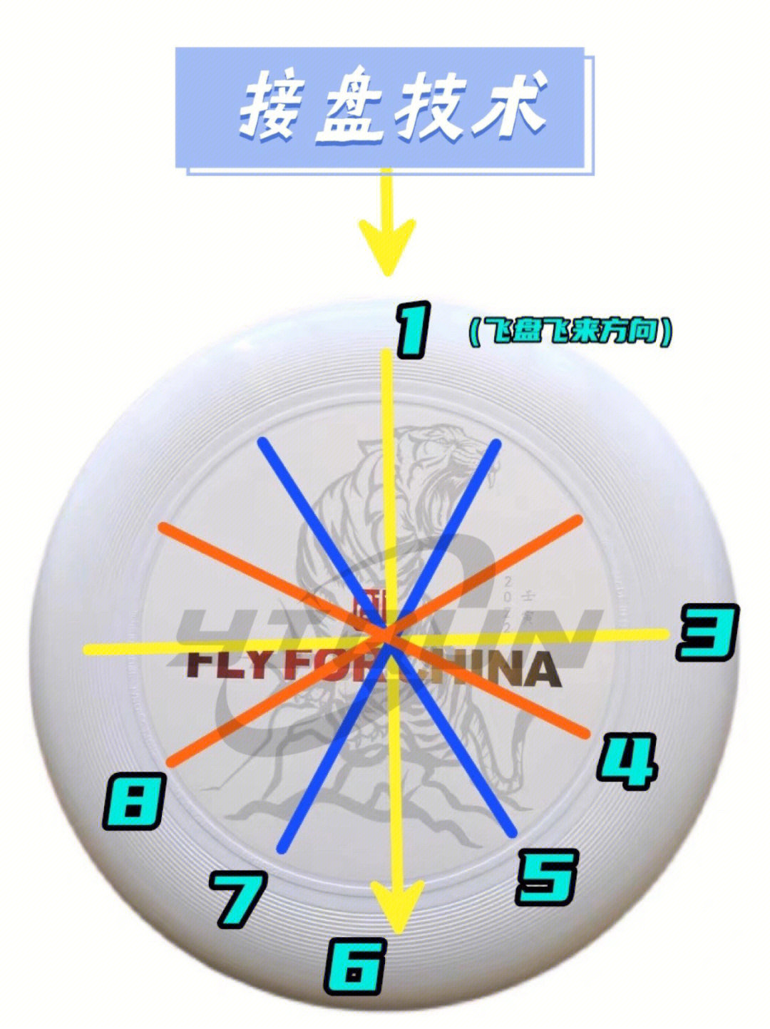 飞盘的4种基本扔法图片