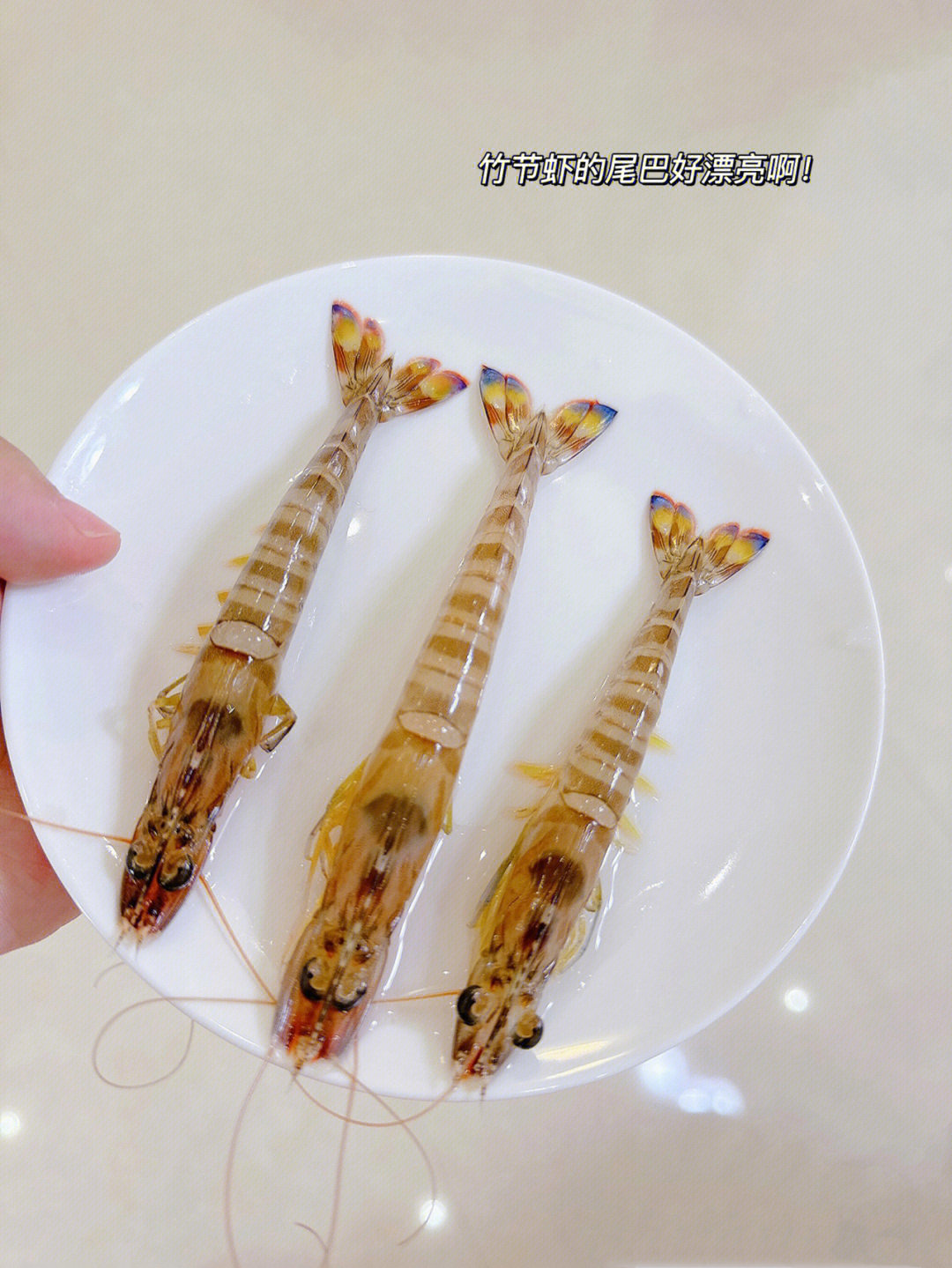 竹节虾多少钱一斤图片