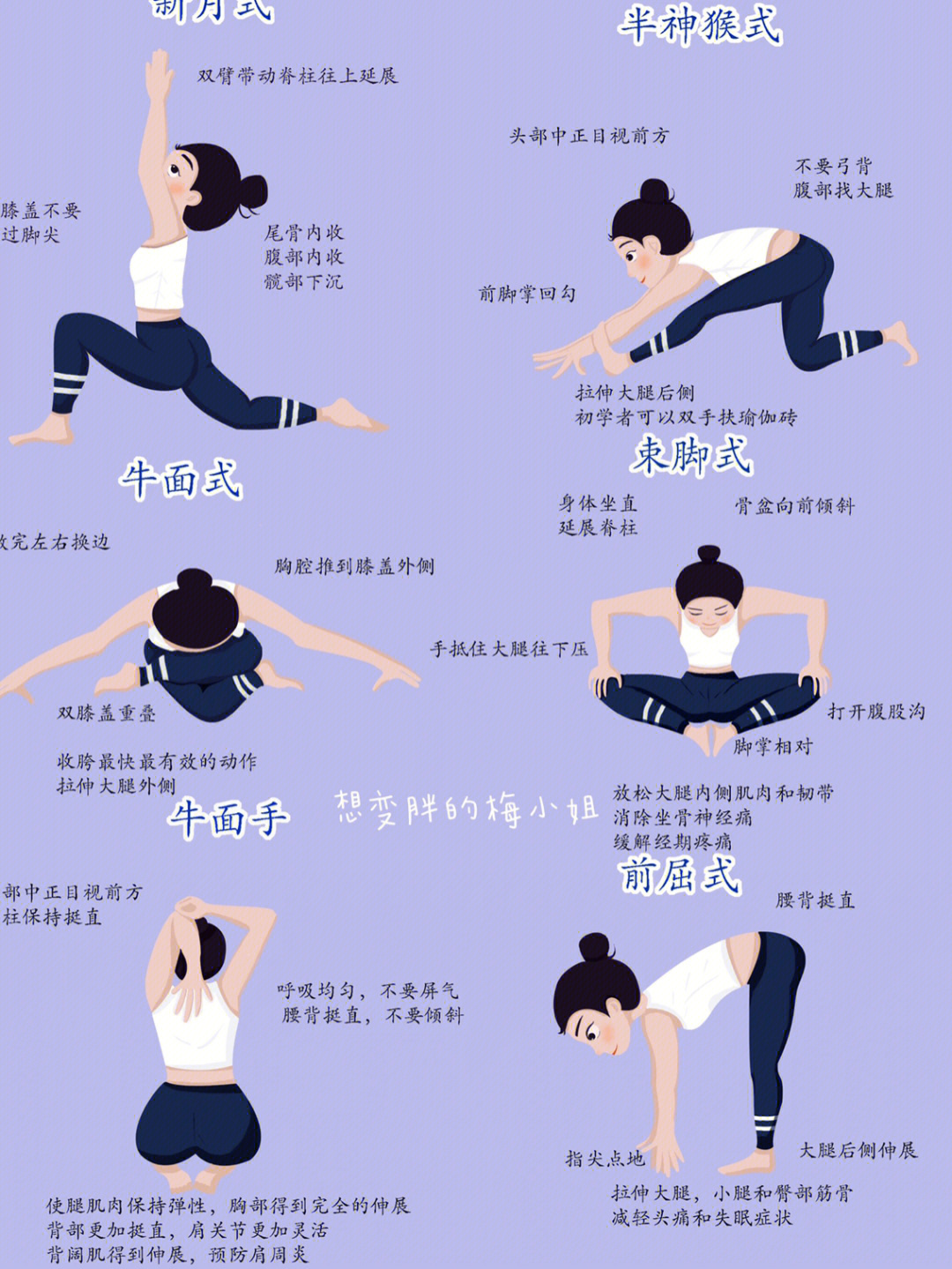 瑜伽最基本的12个动作图片