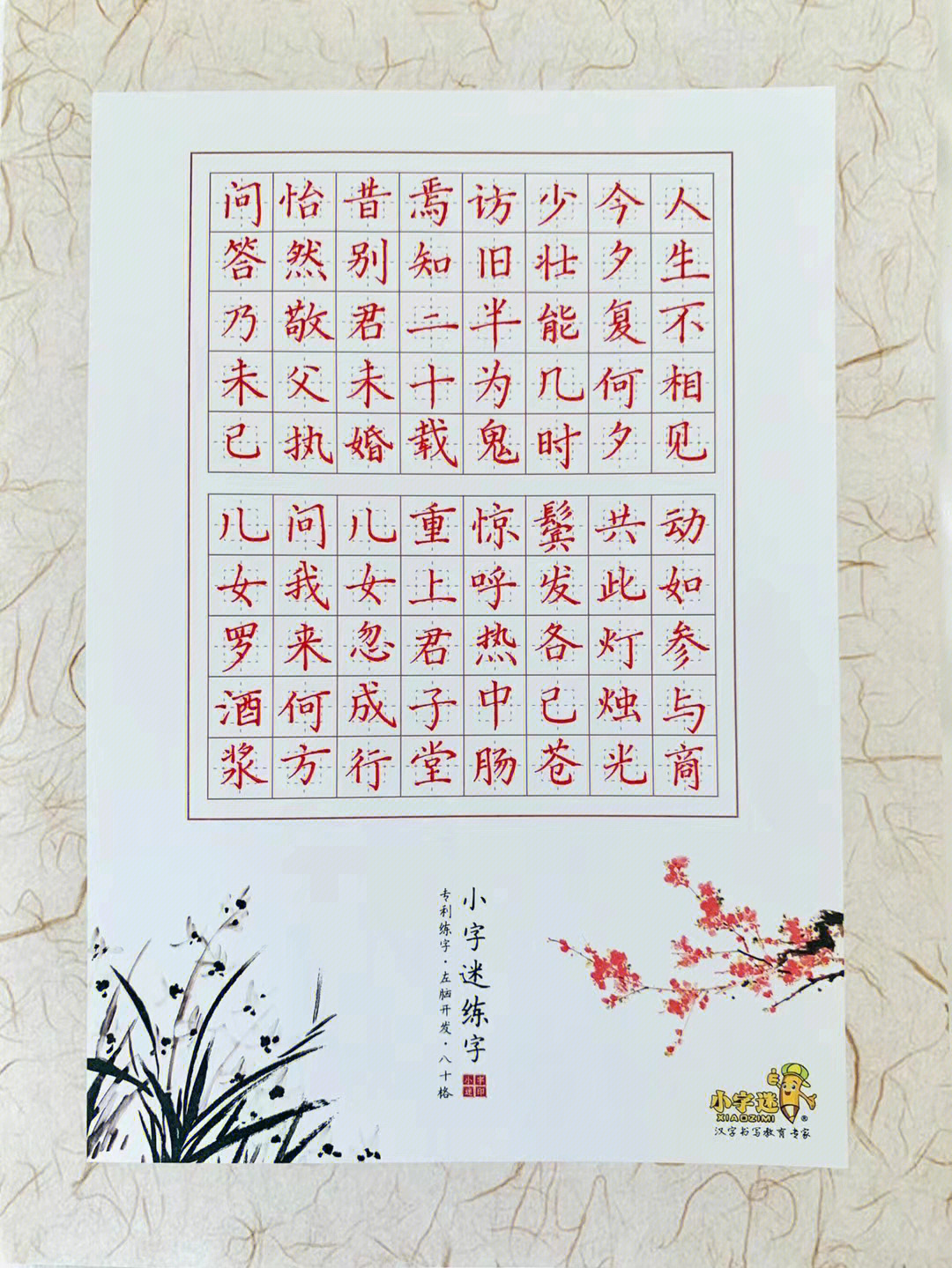 赵老师硬笔书法字帖图片