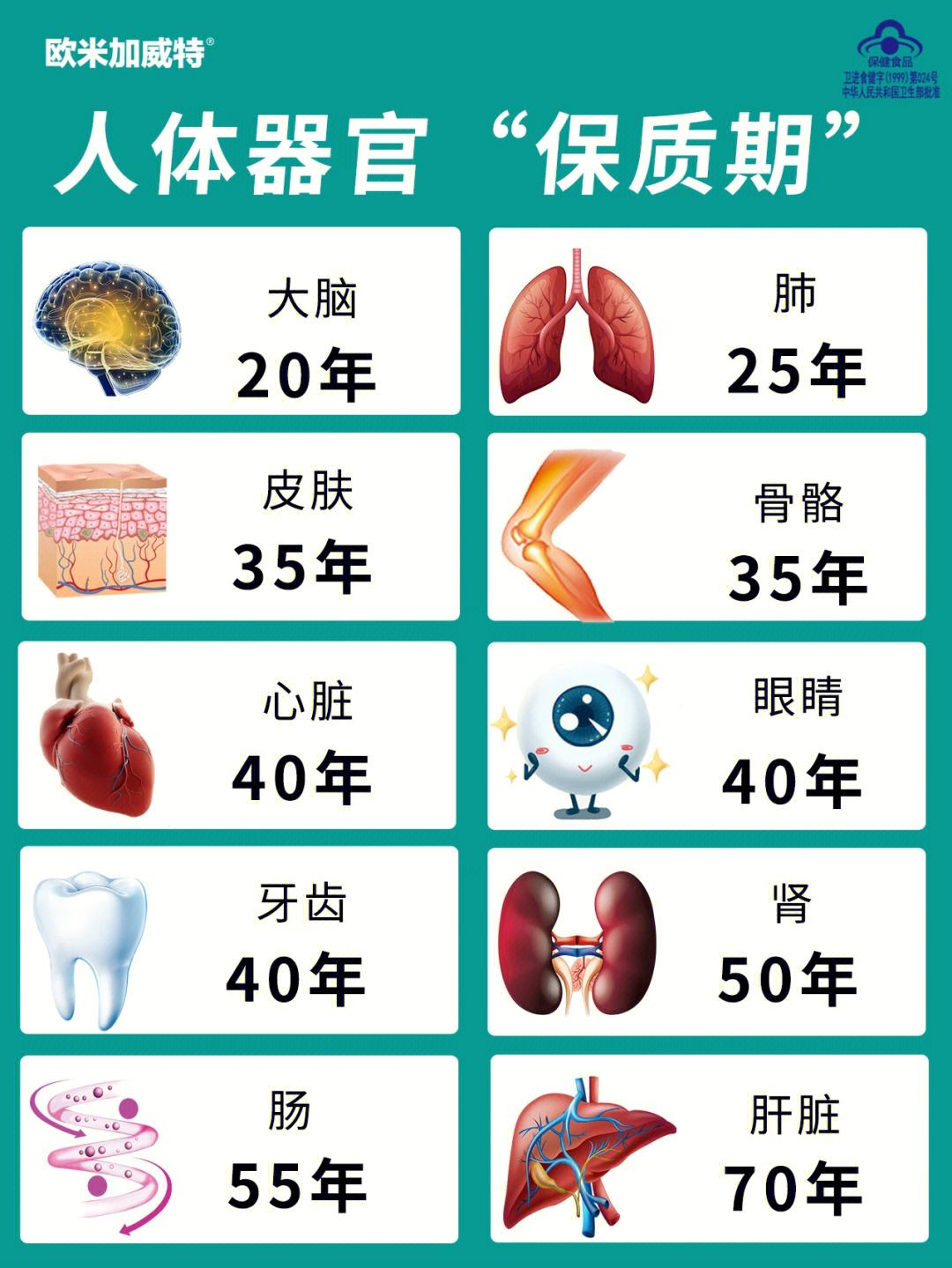 人体细胞更新周期图表图片