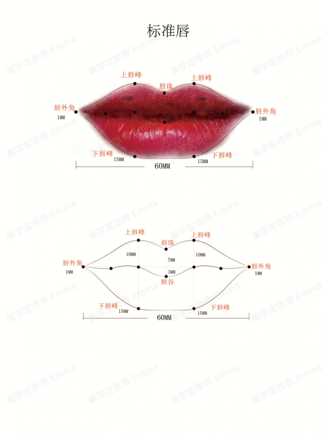标准唇的画法图片