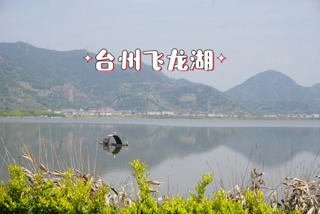 台州飞龙湖民主村图片