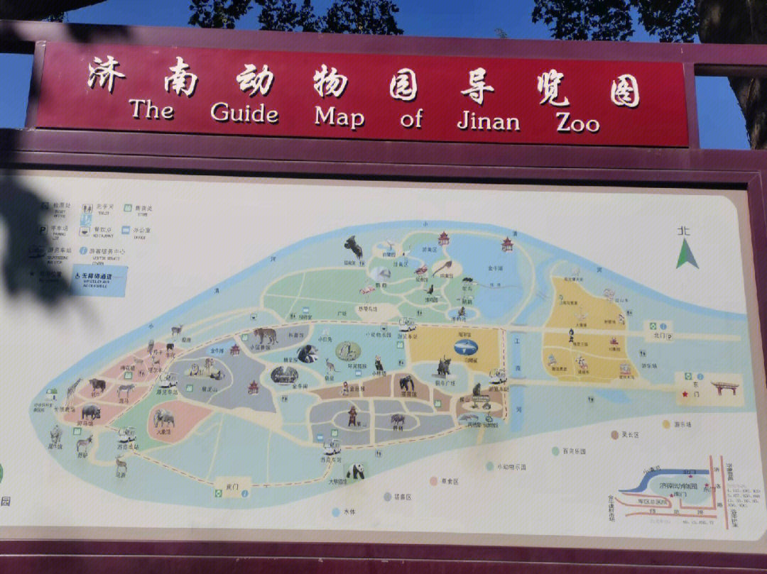 济南野生动物园自驾游图片