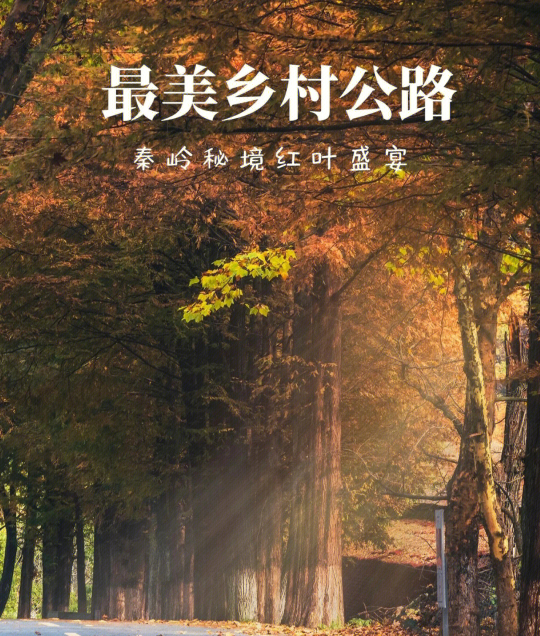 最美乡村公路