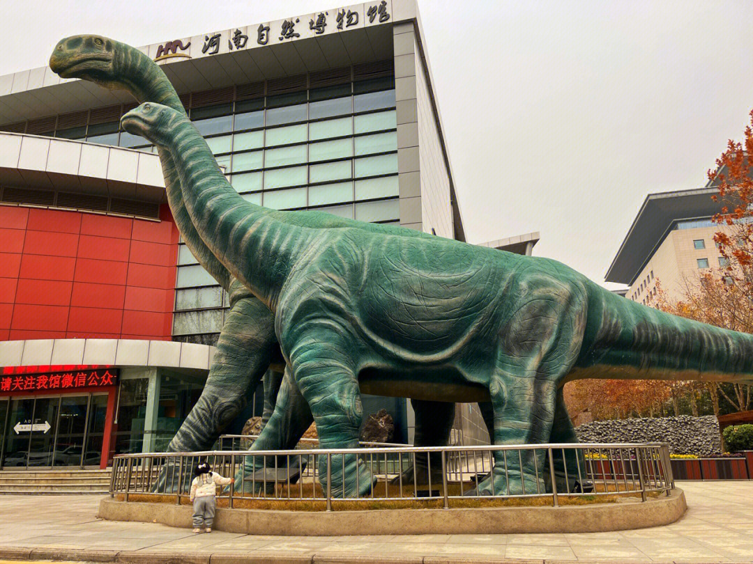 河南省自然博物馆,原名地质博物馆关注公众号可以预约,门票免费