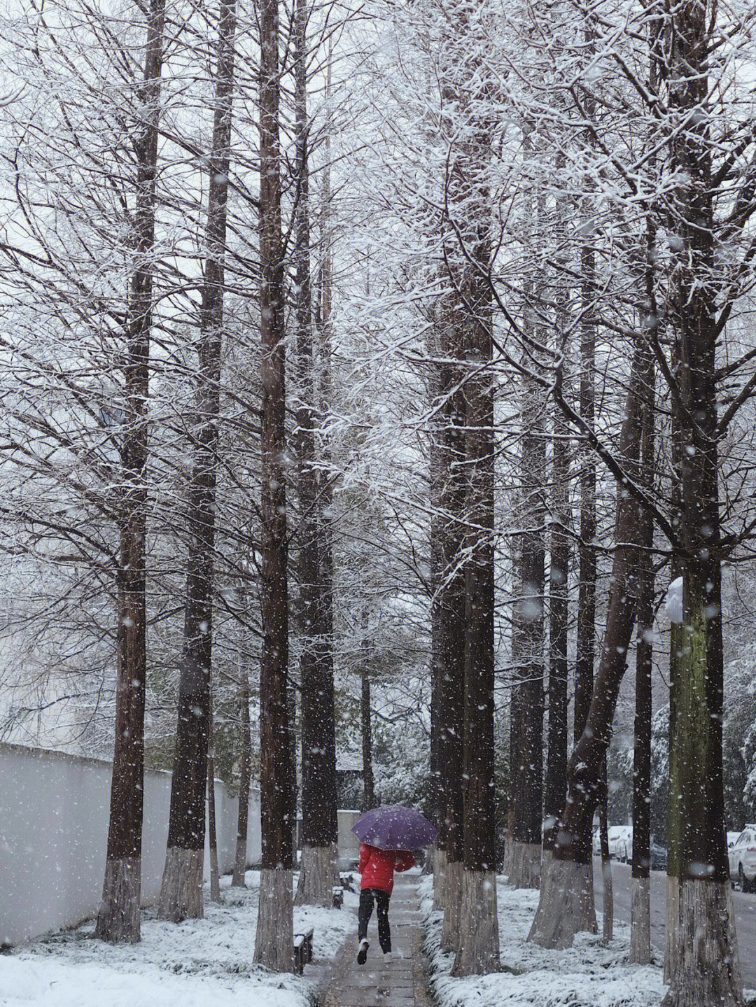 杭州下雪了