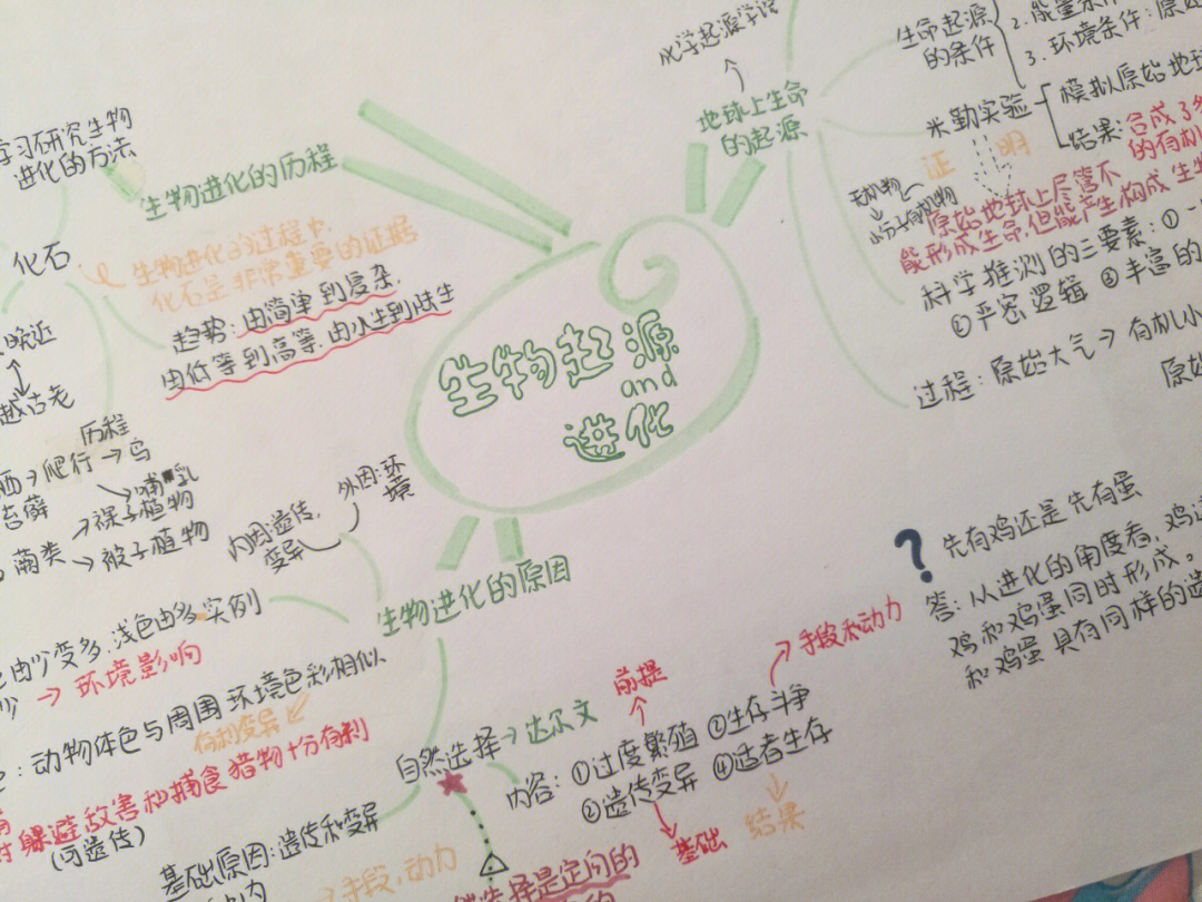 生物的起源和进化