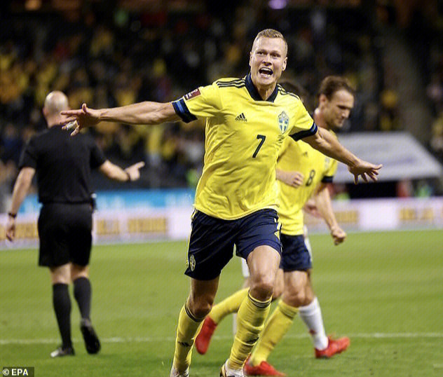 世界杯预选赛瑞典图片