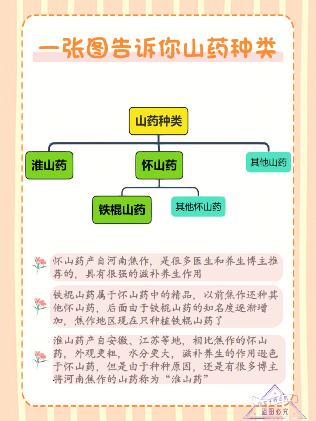 淮山与山药区别图片