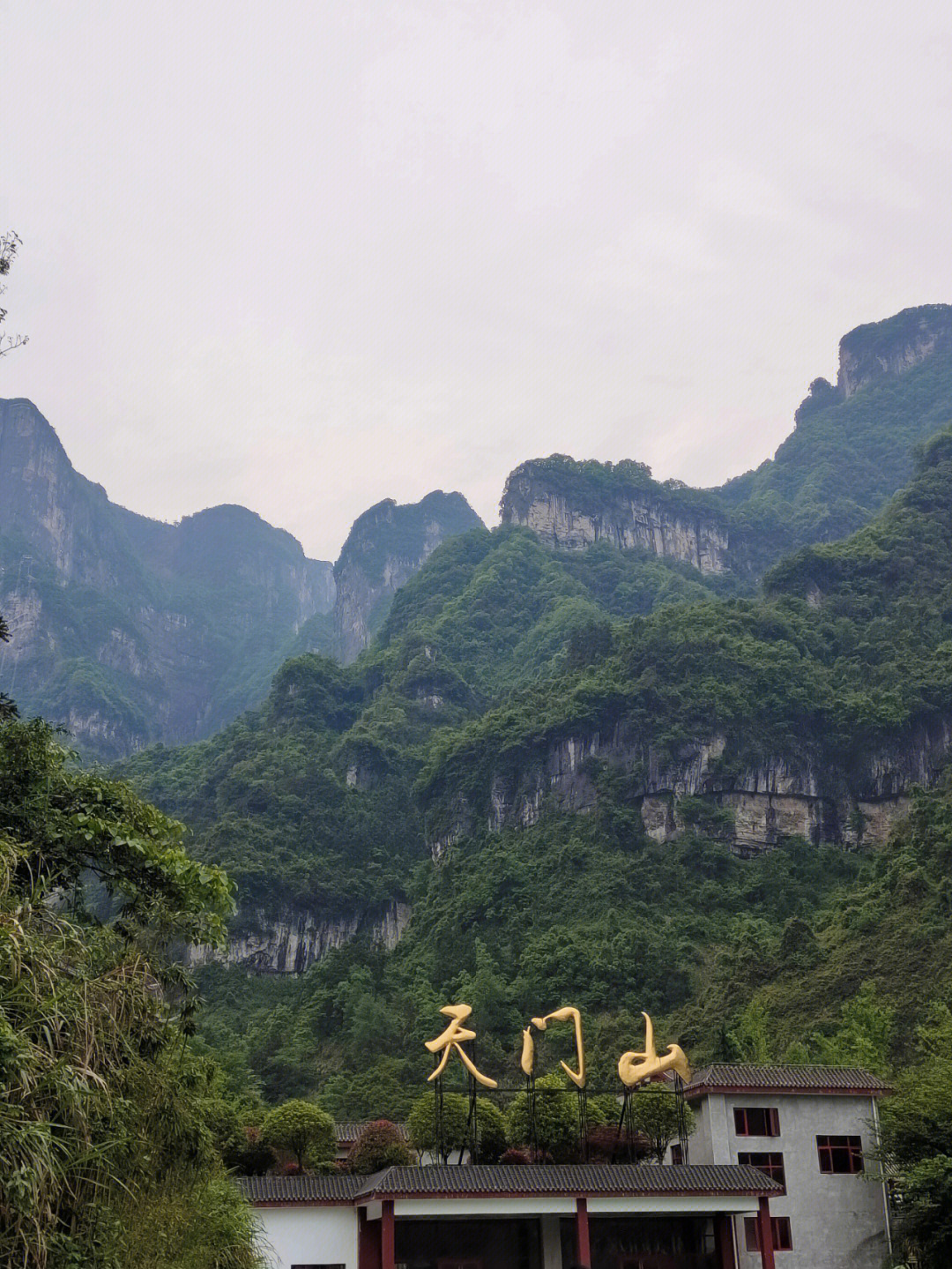 2022/5/1考试周的时候看到网上说张家界景点五一给省内居民免票 就跟