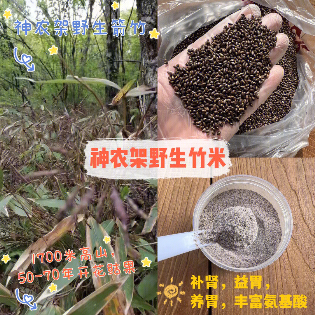 竹米的功效与作用图片