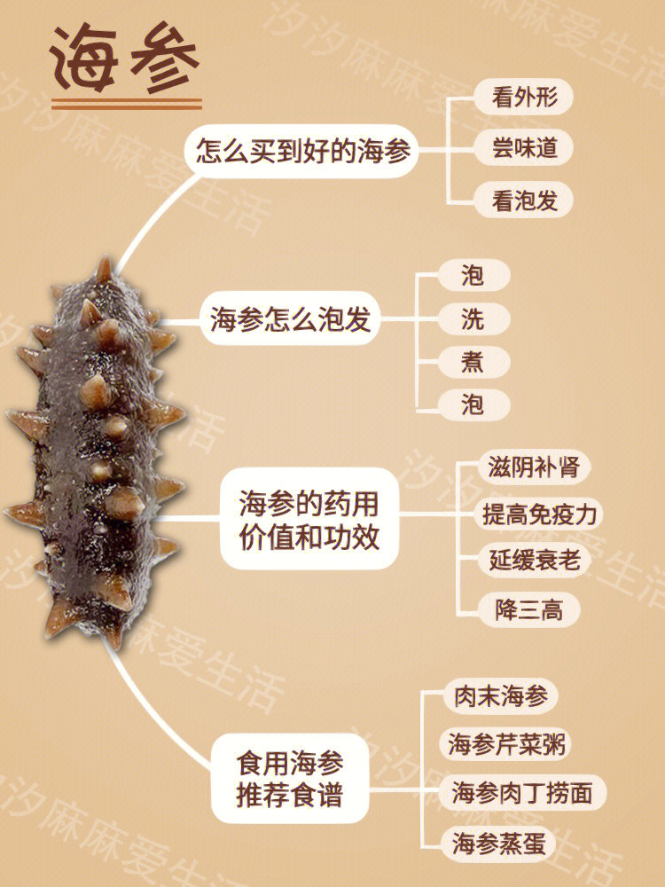 功效[彩虹r]食用海参推荐食谱汐汐麻麻整合了一下让大家看的更直观