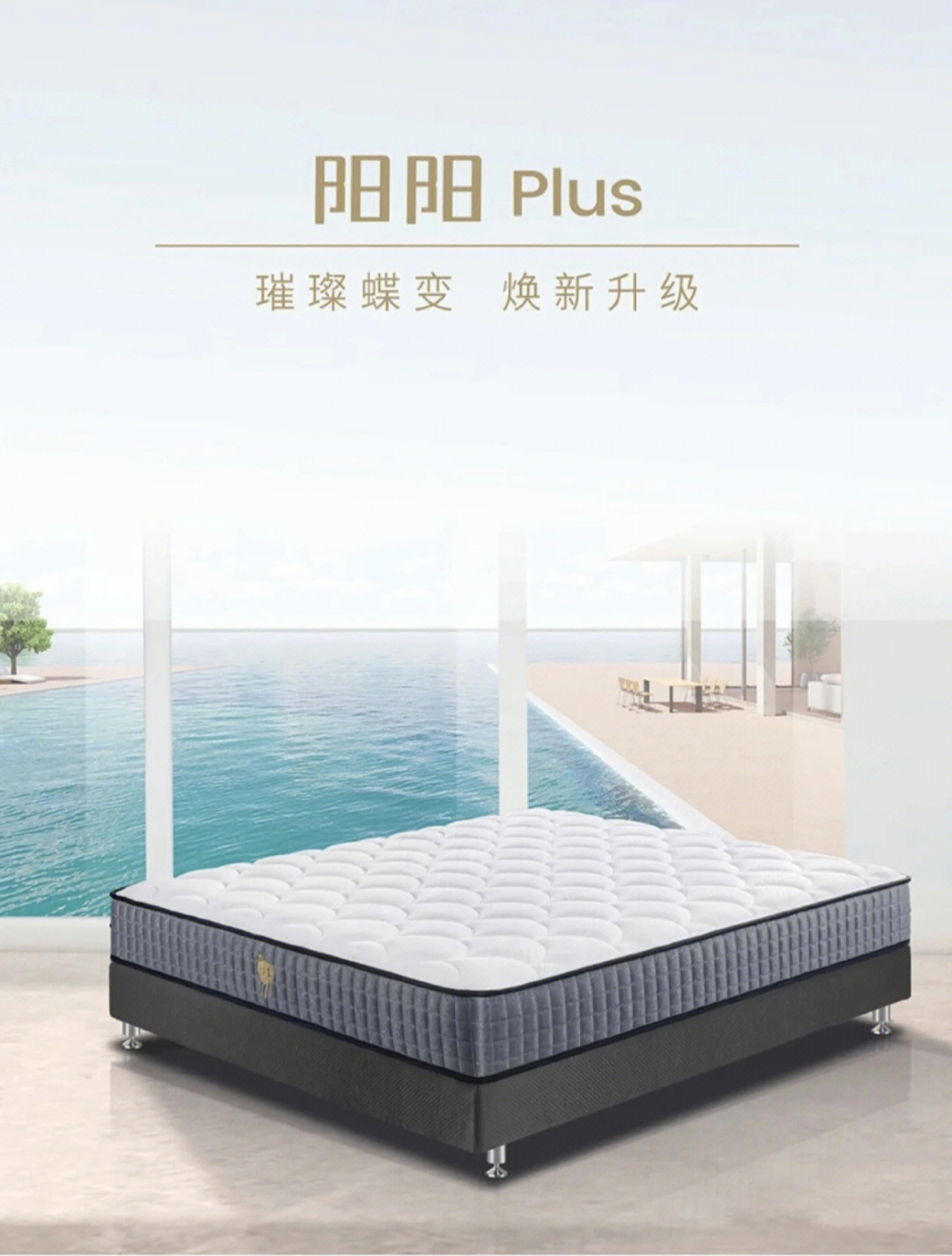 舒达阳阳plus