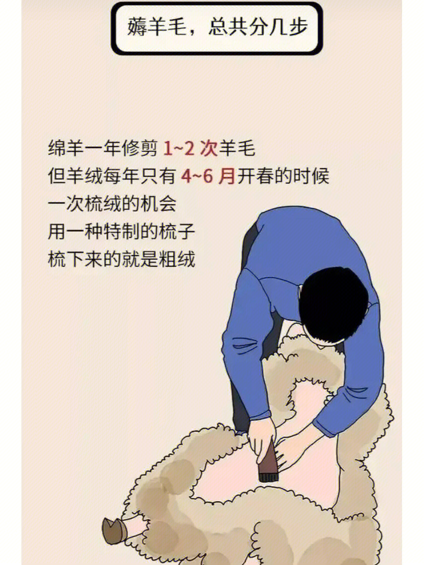 可一只羊薅羊毛图片