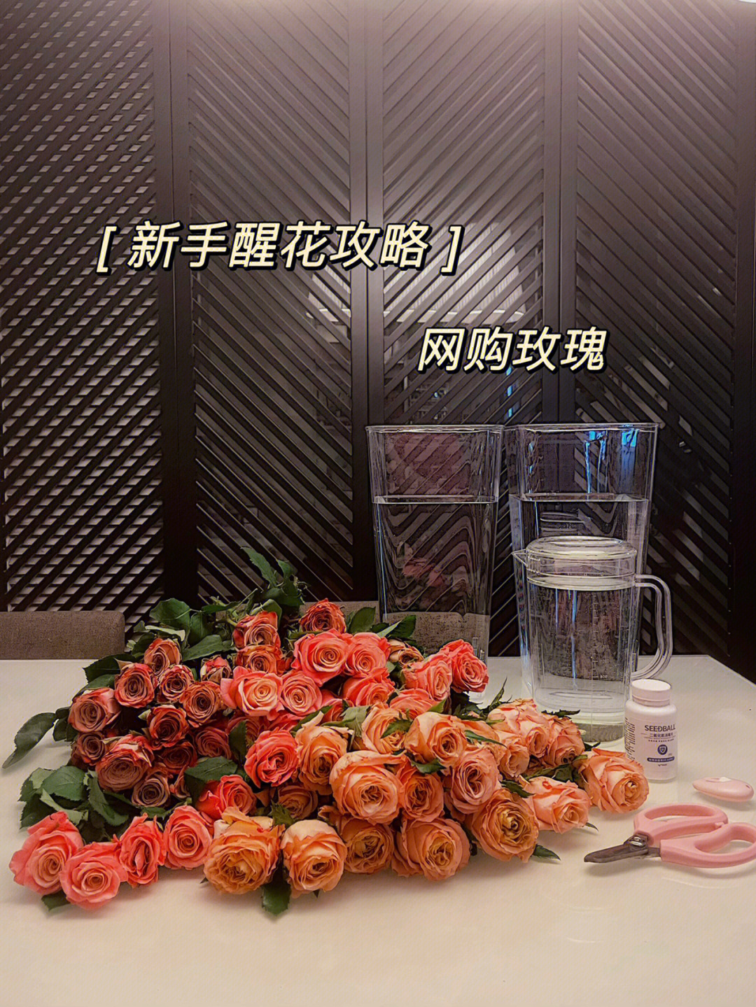 玫瑰花醒花步骤图片