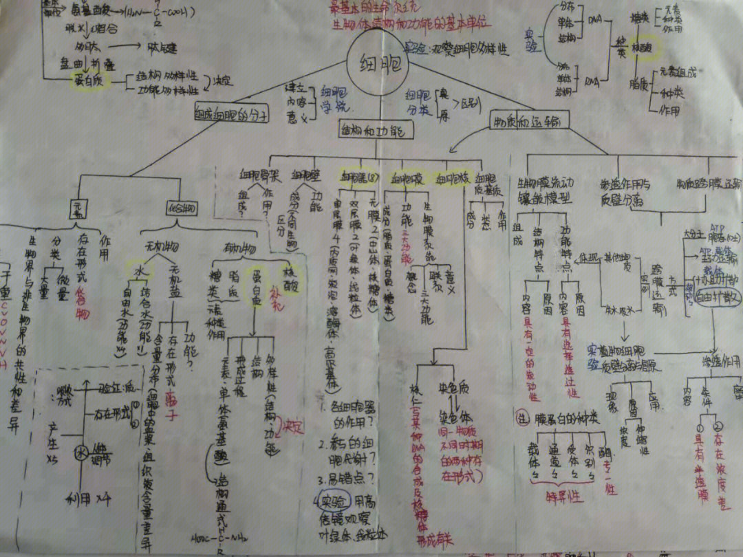 高中生物最污知识点图片