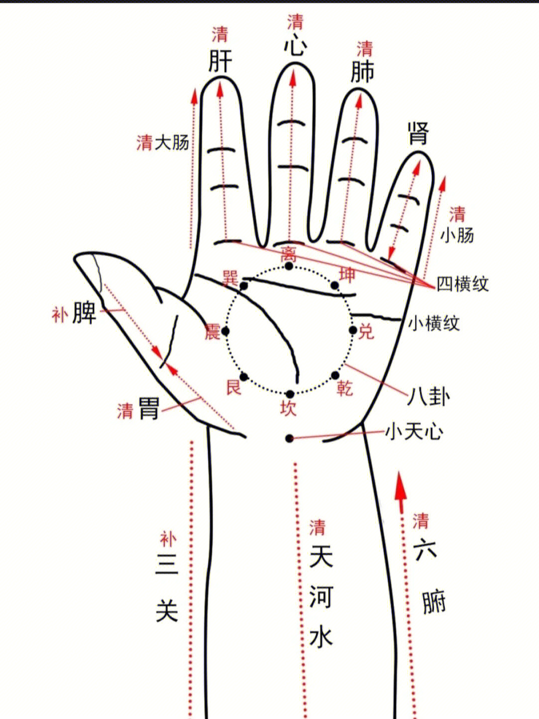 常用小儿推拿穴位图