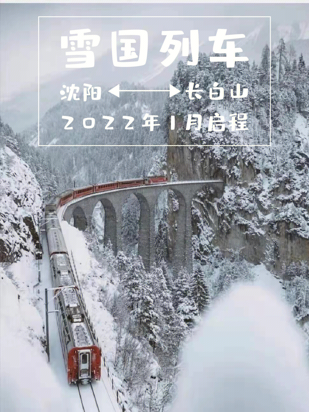 雪国列车蛋白棒图片