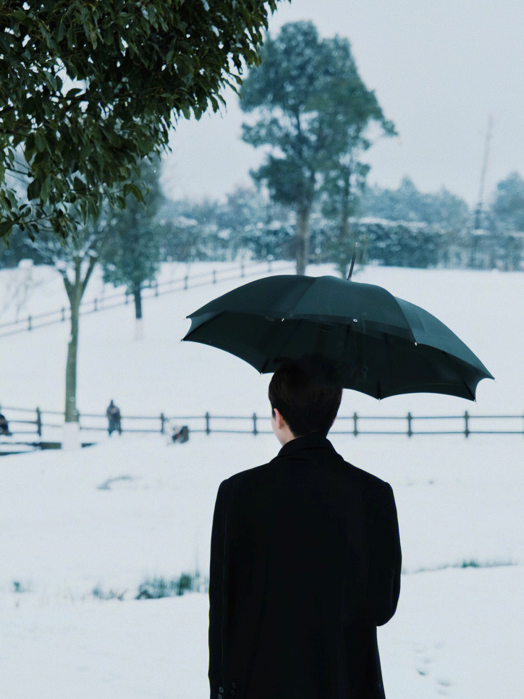 男人雪中背影图片真实图片