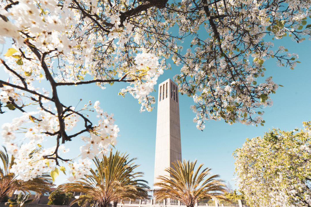 ucsb加州大学圣巴巴拉分校美照第一辑