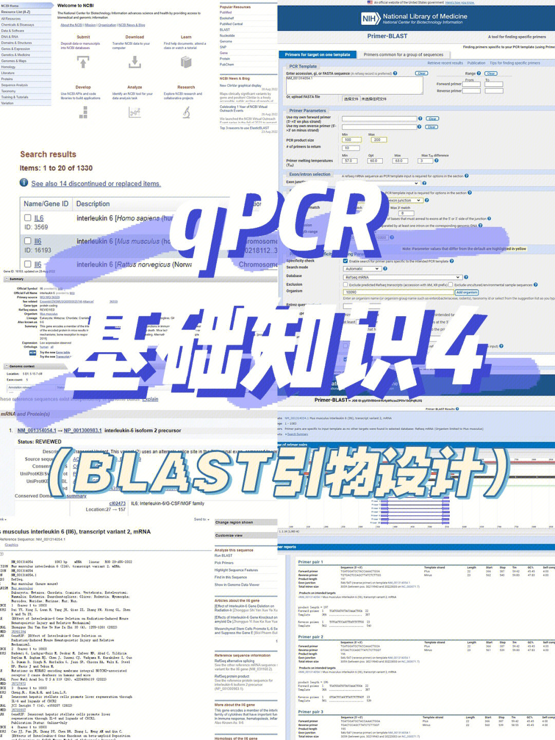 科研qpcr基础知识4blast引物设计