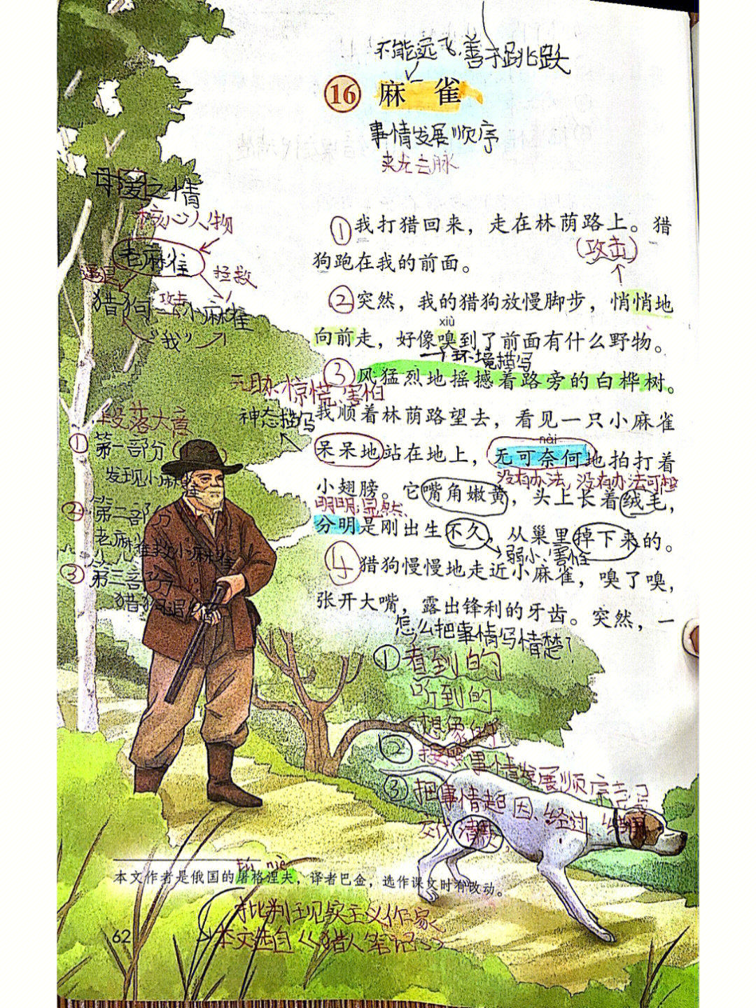课堂笔记|四上16《麻雀》