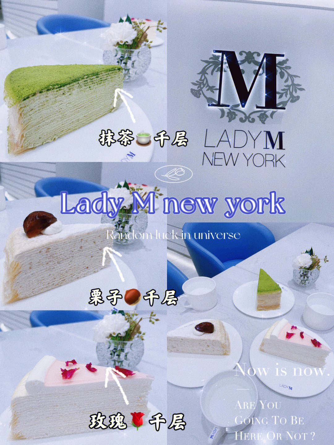 ladym网红甜品店