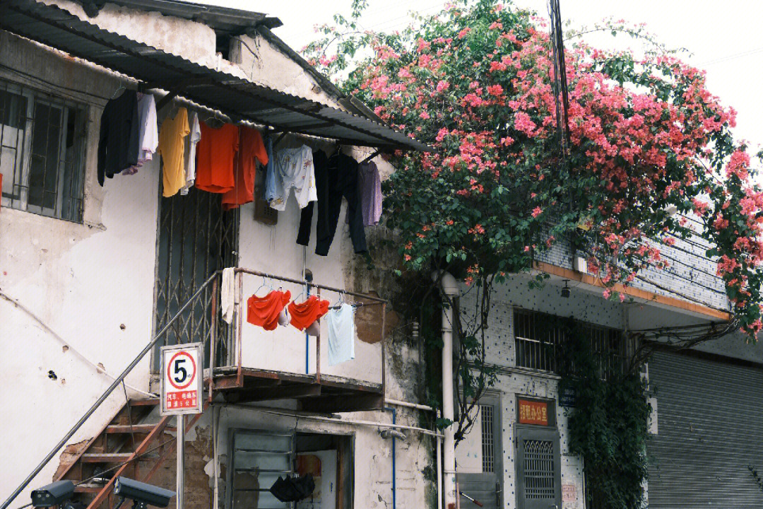 广州员村山顶图片