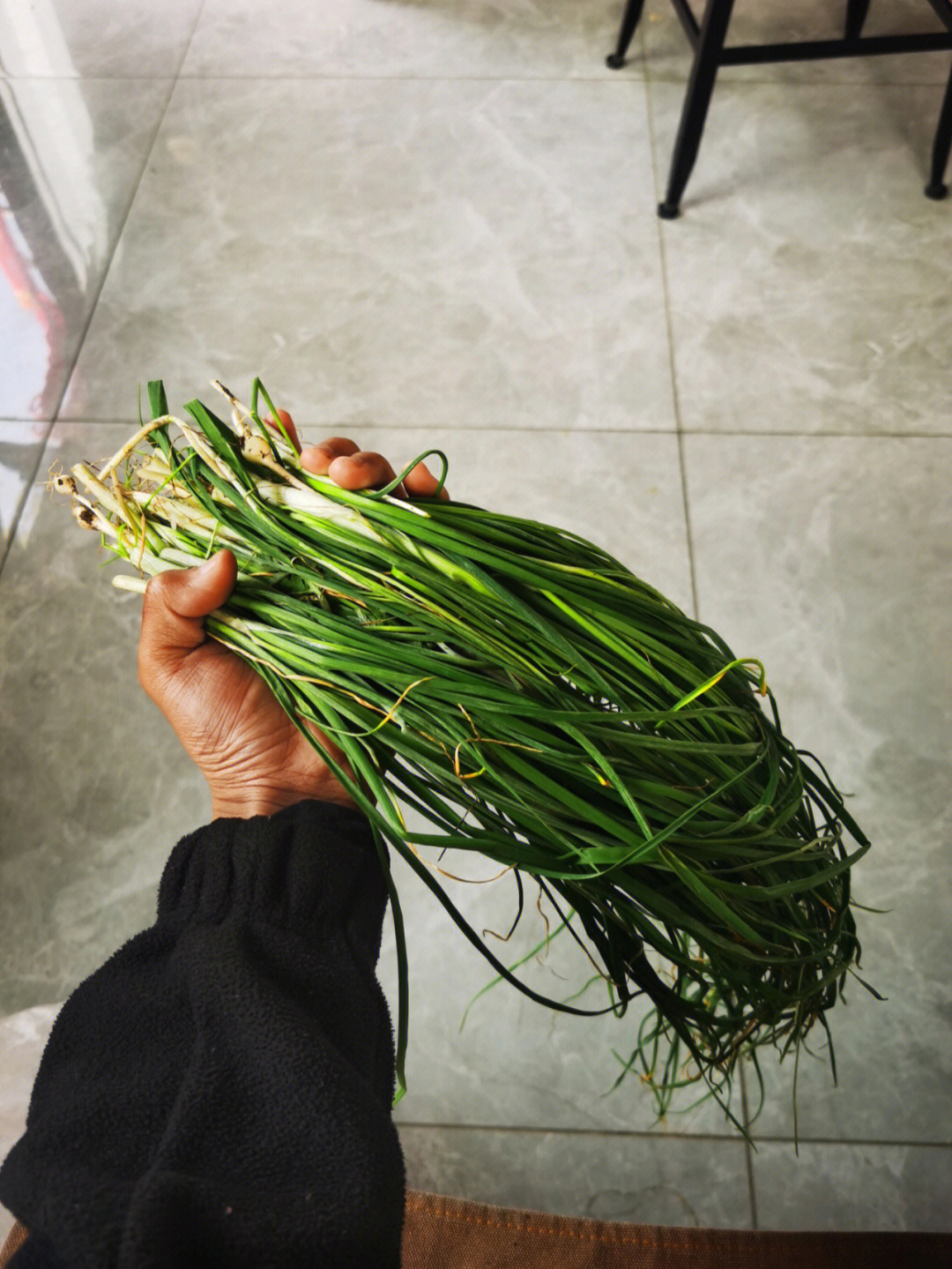 疫情挖野菜不懂就问这是野葱还是野蒜