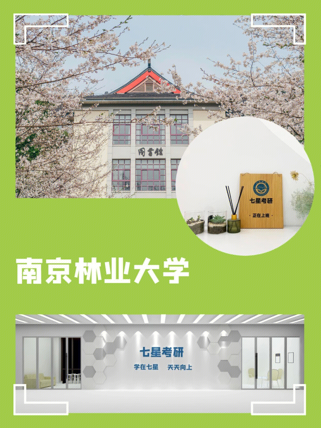 南京林业大学2021年硕士招生数据二